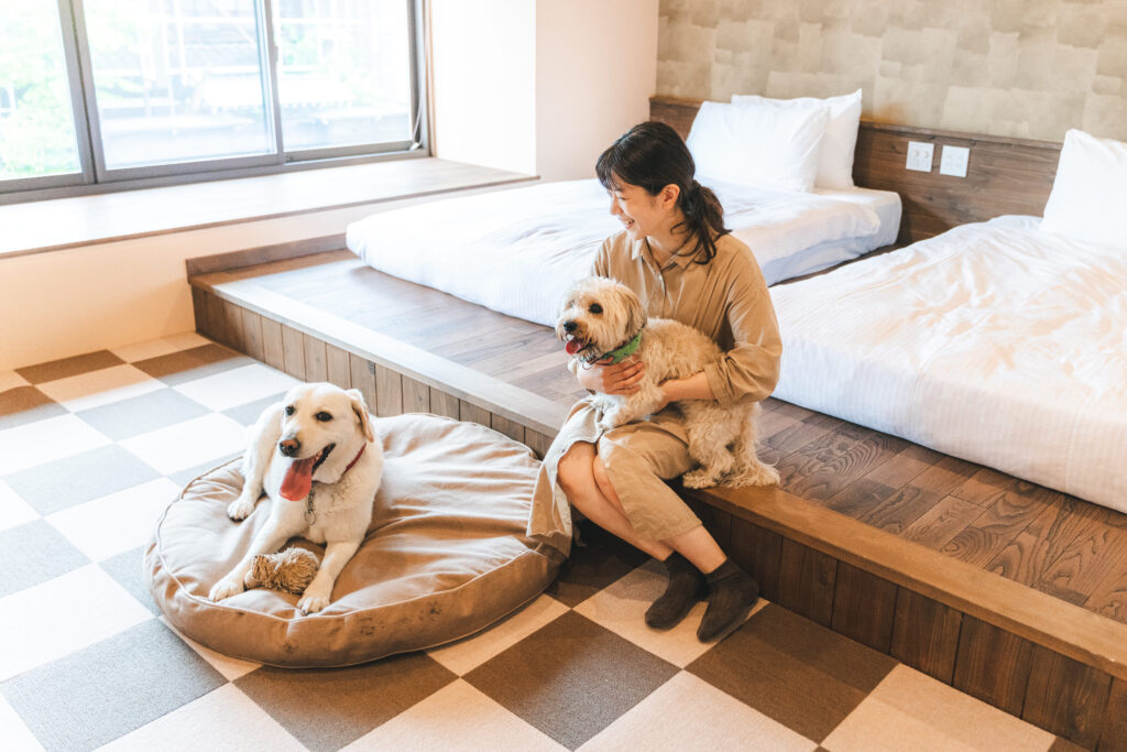 【ペットと泊まれる宿】-IORI GOTO- 町家ホテルで旅する飛騨古川と高山